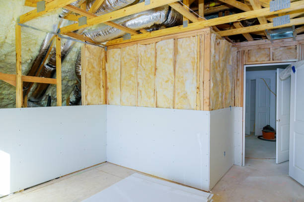 Best Insulation Maintenance and Repair in Preston, MN