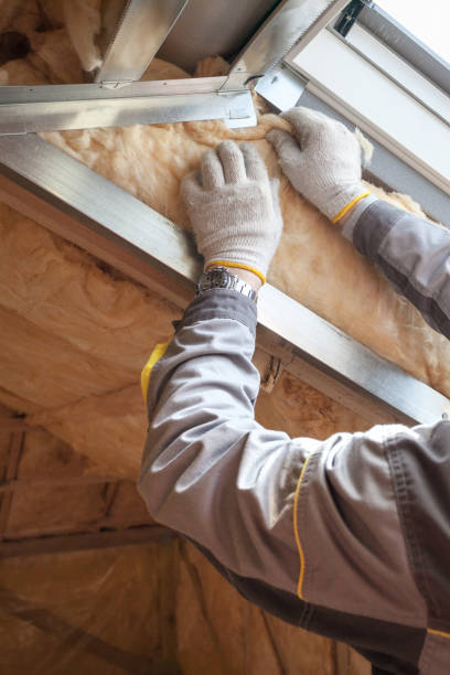 Best Commercial Insulation in Preston, MN